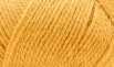 103 Amplified Amber