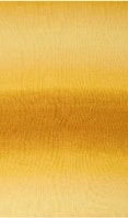110 Golden Sun