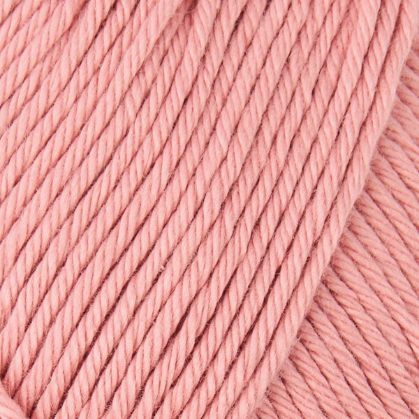 497 Pale Coral