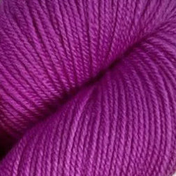 Clematis