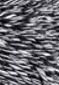 TV Static